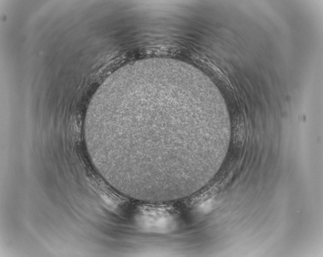 X0000086970661200705141652