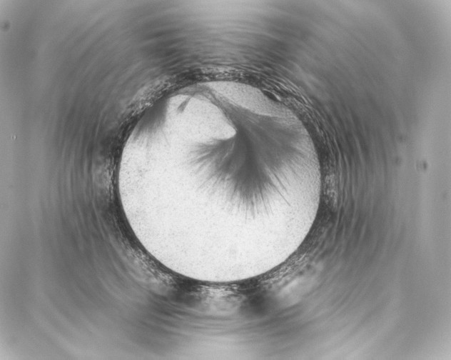 X0000086970662200705141652