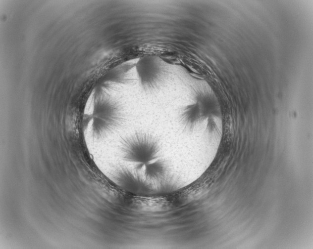 X0000086970663200705141652