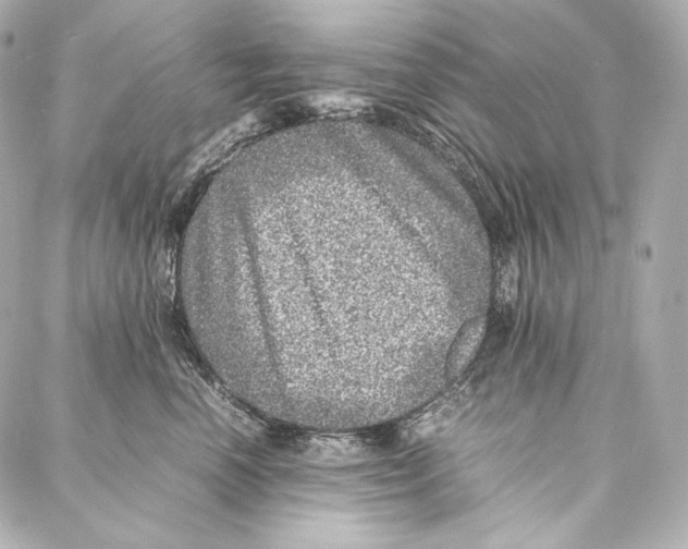 X0000086970666200705141652