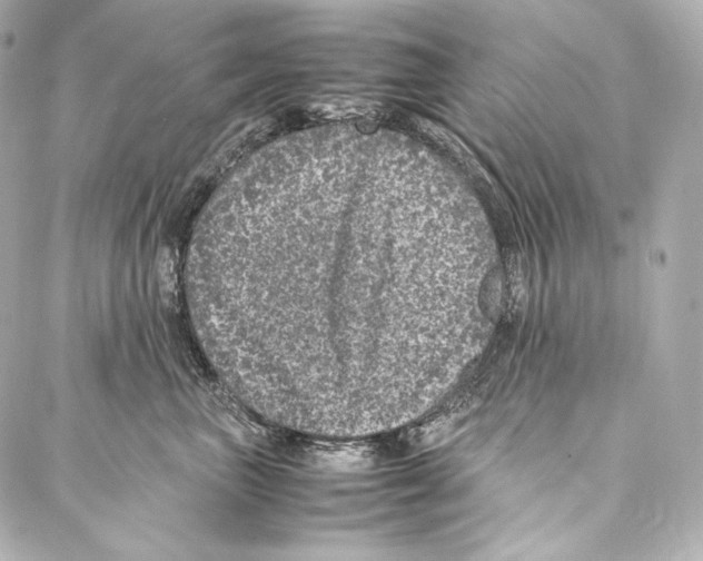 X0000086970667200705141652