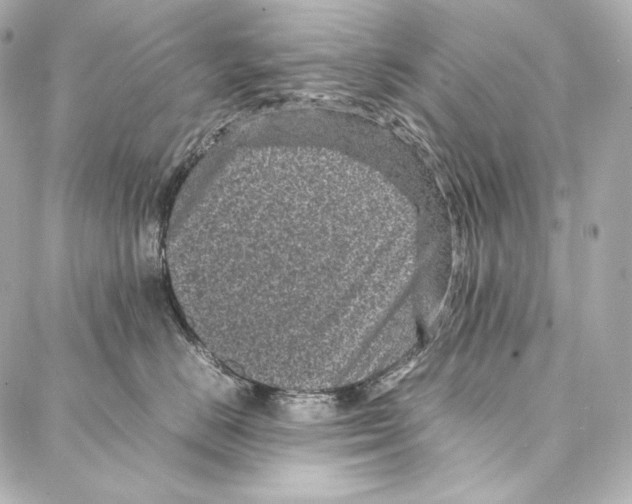 X0000086970670200705141652