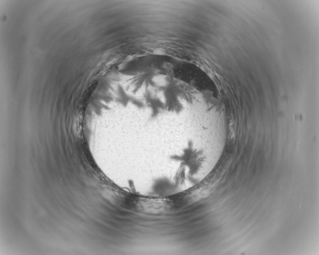 X0000086970671200705141652