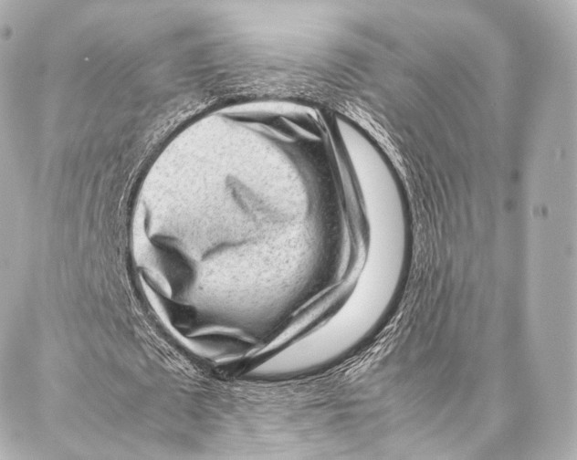 X0000086970673200705141651