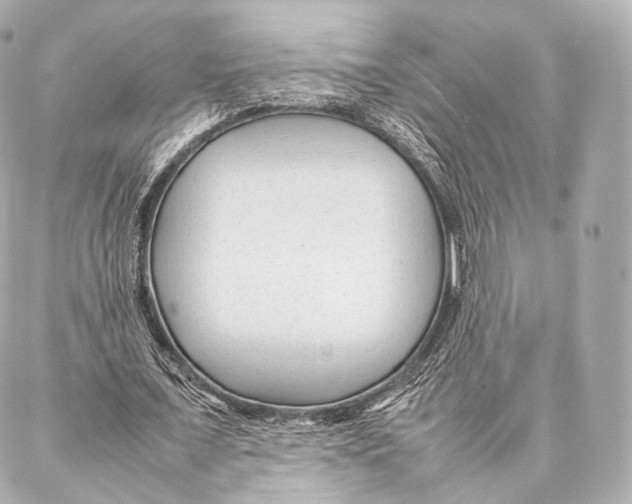 X0000086970675200705141651