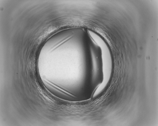 X0000086970677200705141651