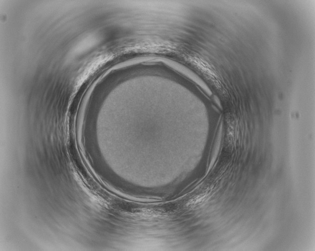 X0000086970678200705141651