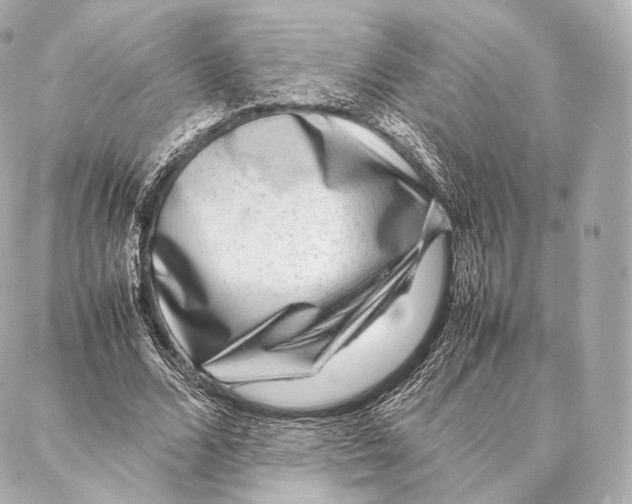 X0000086970680200705141651