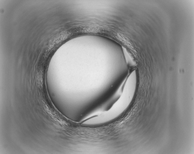 X0000086970681200705141651