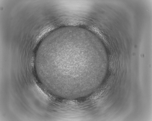 X0000086970683200705141651