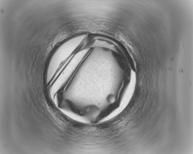 X0000086970685200705141651