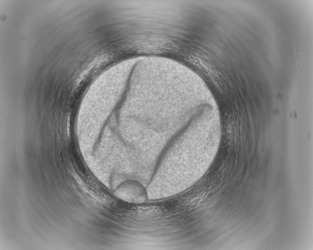 X0000086970686200705141651