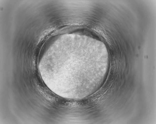 X0000086970688200705141651