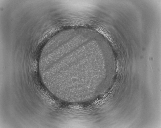 X0000086970689200705141651