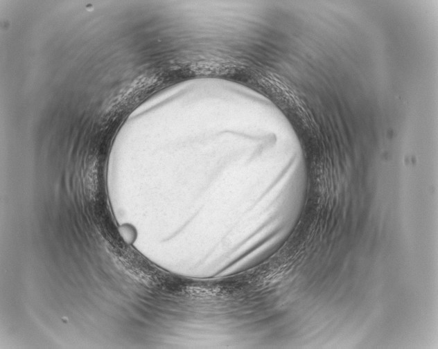 X0000086970690200705141651