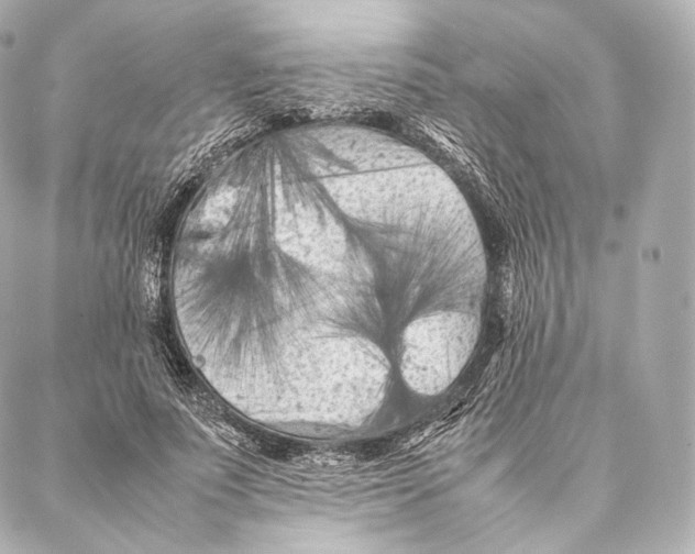 X0000086970691200705141651