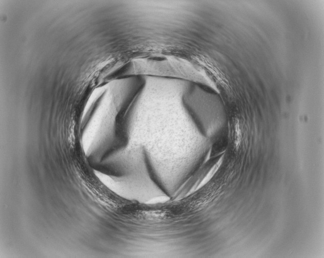 X0000086970692200705141651