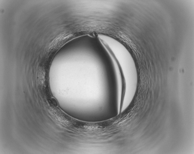 X0000086970693200705141651