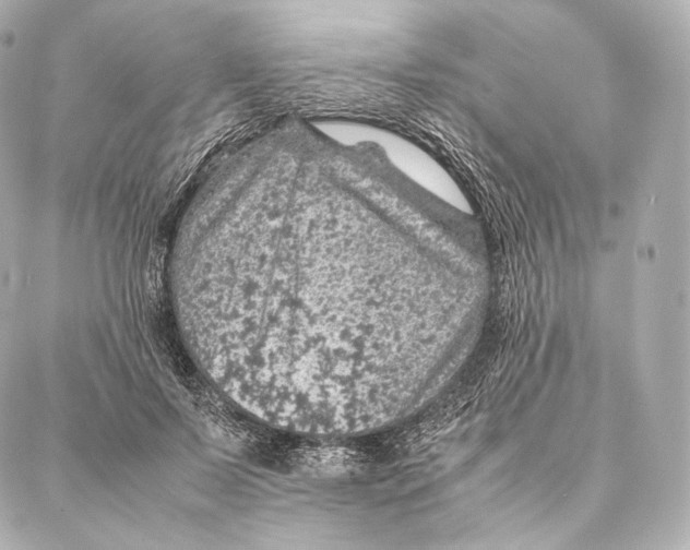 X0000086970695200705141651