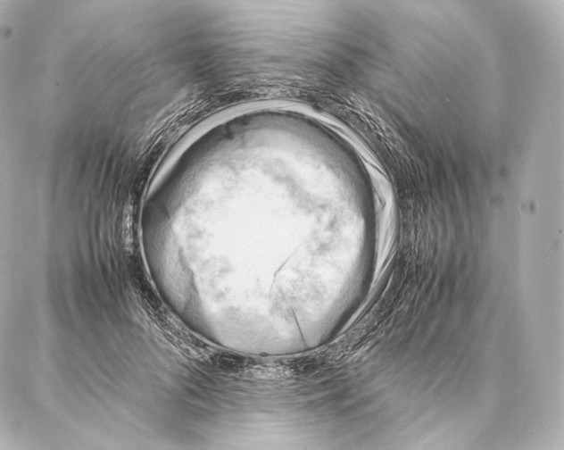 X0000086970696200705141651