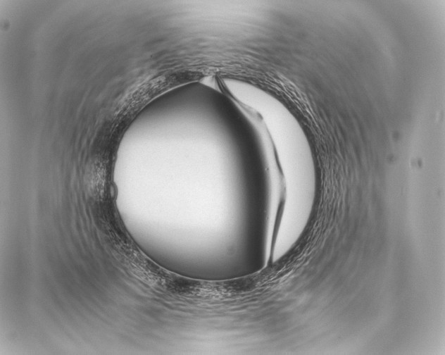 X0000086970697200705141651