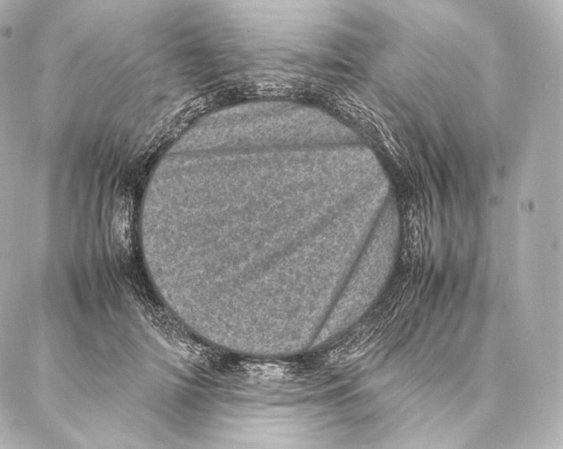 X0000086970698200705141651