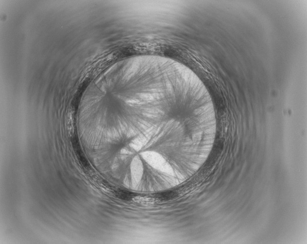 X0000086970699200705141651