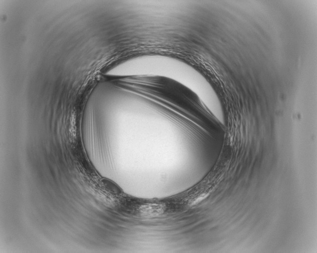 X0000086970700200705141651