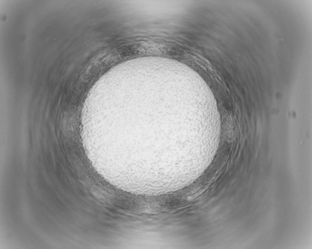 X0000086970701200705141651