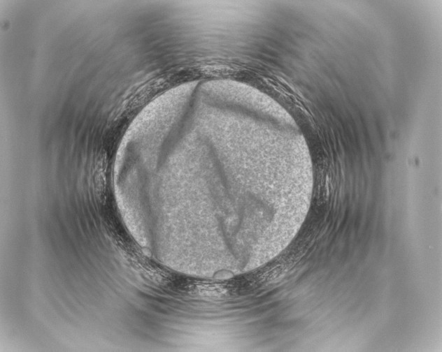 X0000086970702200705141651