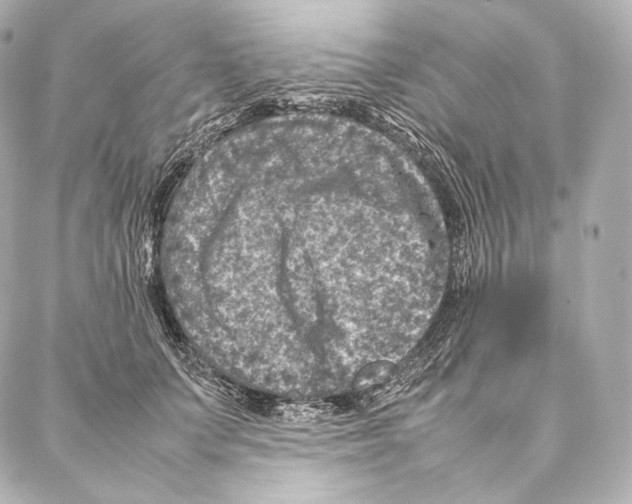 X0000086970703200705141651