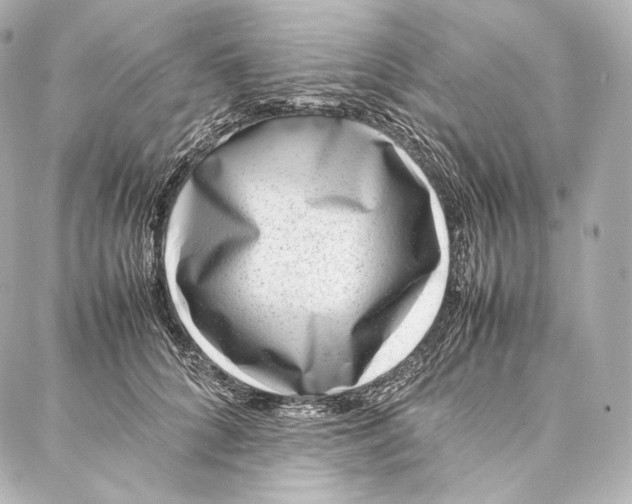 X0000086970704200705141651