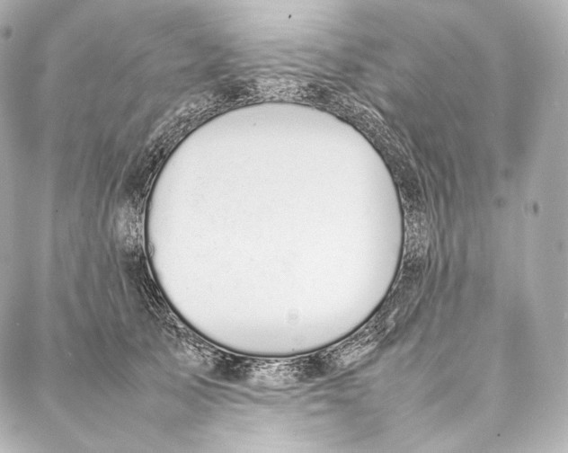 X0000086970705200705141651