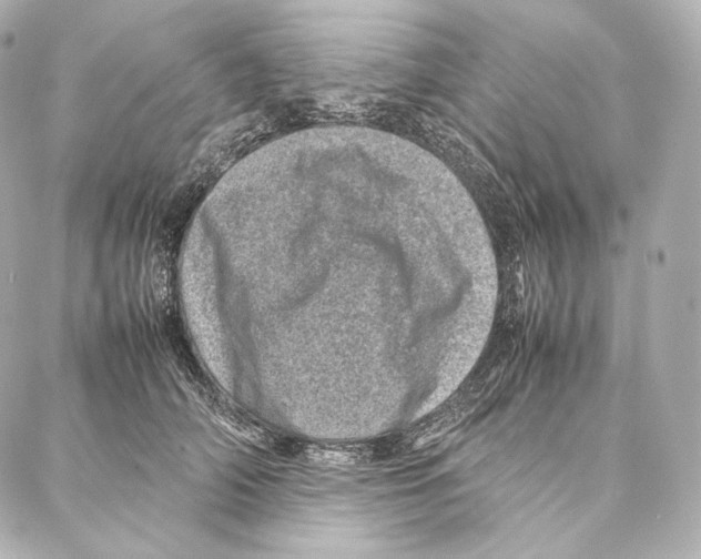 X0000086970706200705141651