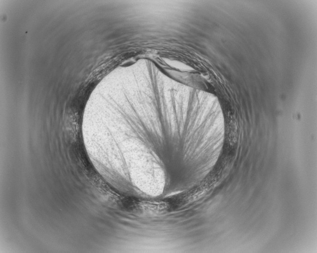 X0000086970707200705141651