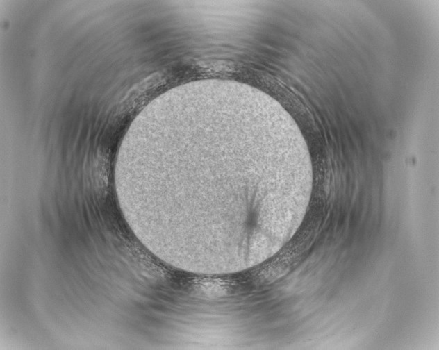 X0000086970710200705141651