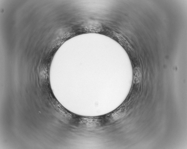 X0000086970713200705141651