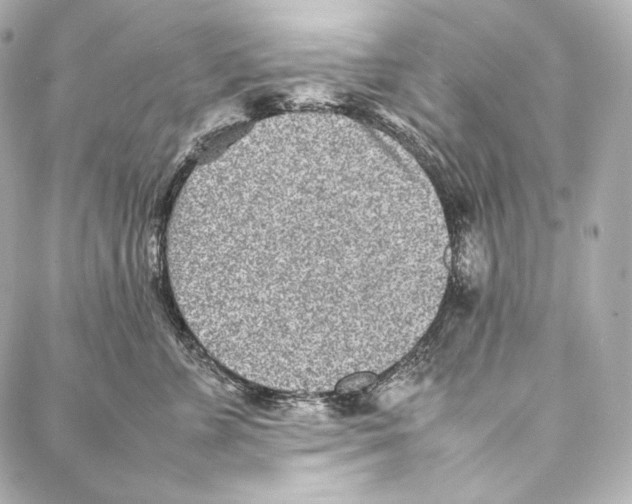 X0000086970715200705141651