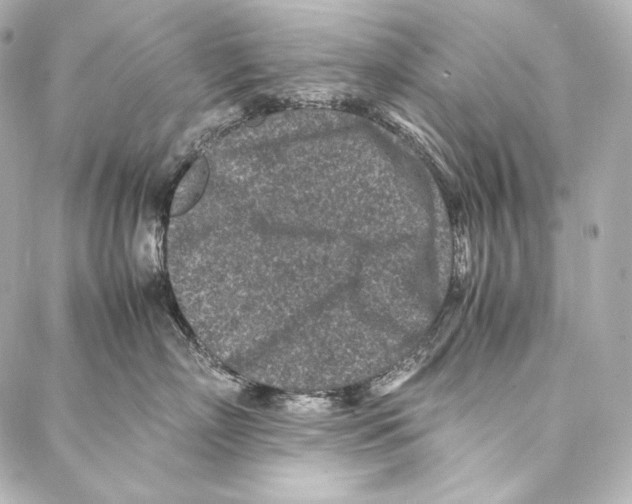 X0000086970718200705141651