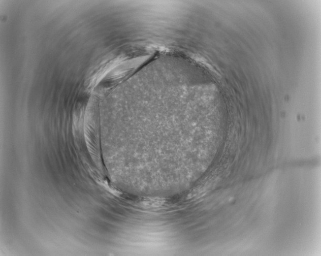 X0000086970720200705141651