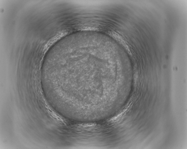 X0000086970721200705141650