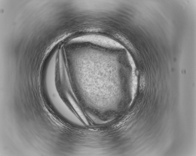 X0000086970722200705141650