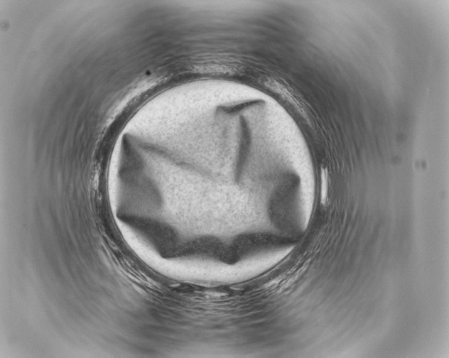 X0000086970723200705141650