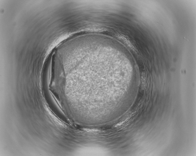 X0000086970726200705141650