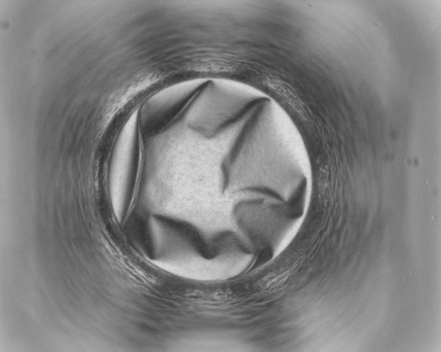 X0000086970727200705141650