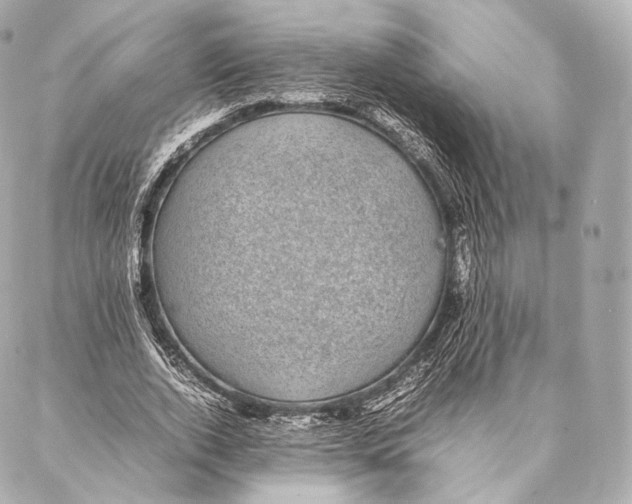 X0000086970728200705141650