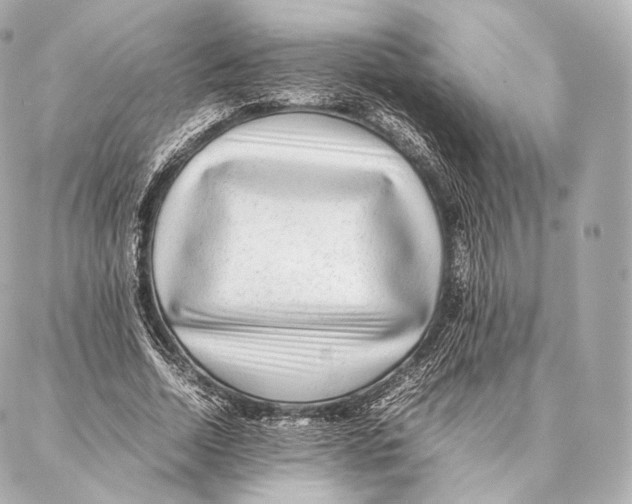 X0000086970730200705141650