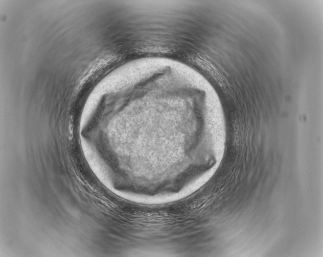 X0000086970731200705141650