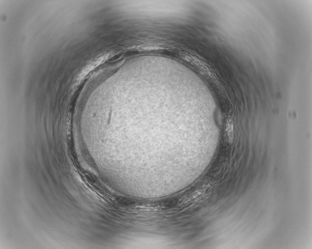 X0000086970732200705141650