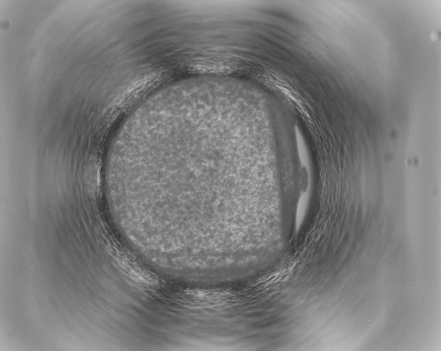 X0000086970733200705141650